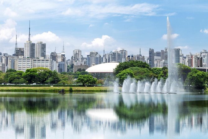 Private São Paulo Tour With Ibirapuera Park, Paulista Av and Downtown Visit - Traveler Experience and Reviews