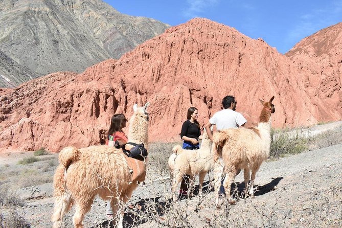 Purmamarca Walk With Llamas - Participation Requirements