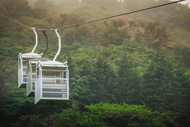 Sky Walk- Sky Tram & Sky Trek Zipline From Monteverde - Thrilling Zipline Adventure