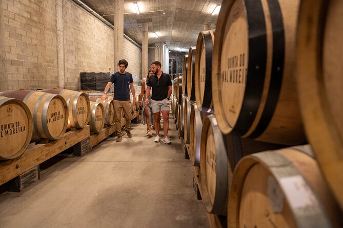 Small Group Douro Valley Wine Tour With Lunch and Cruise - Winemaking Traditions and Tastings