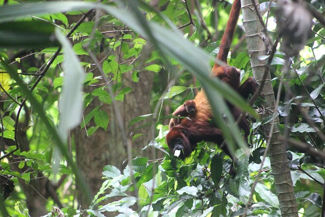 The Howling Trail Hike - Guided Tour and Wildlife Encounters