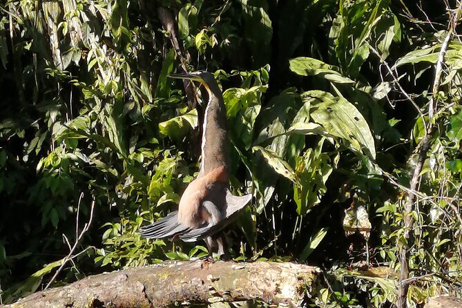 Tortuguero National Park Canal Tour With Canoe - Booking and Cancellation Policy