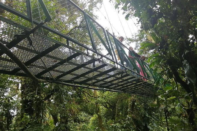 Zip Line, Hot Springs, Horses and More Aventure. - Relaxing Hot Springs