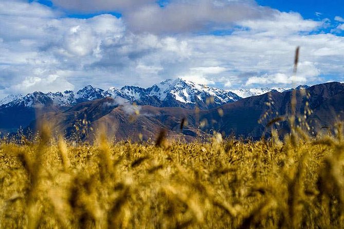 5-Day Cusco and Machu Picchu Tour - Guided Tour of Machu Picchu and Ollantaytambo