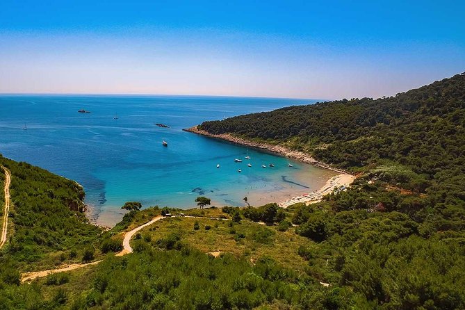Blue Cave Small-Group Boat Tour From Dubrovnik - Guest Experiences and Feedback