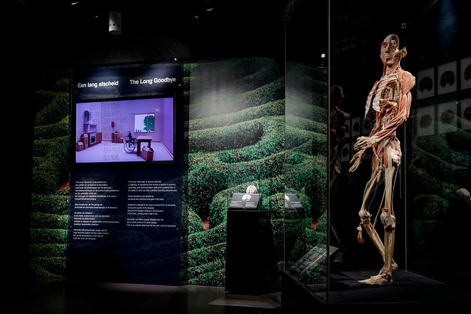 Body Worlds Amsterdam Fast-lane Ticket - Exhibit Highlights and Attractions