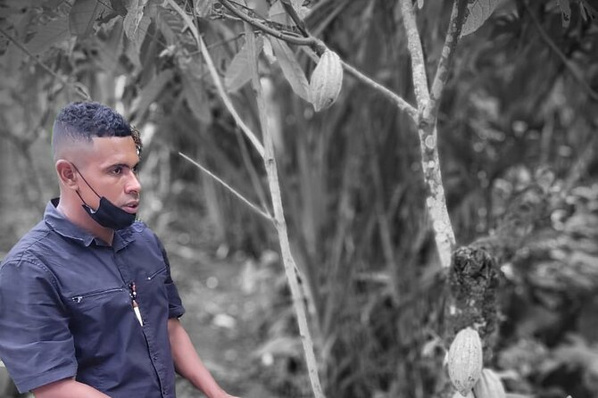 Bribri Magic Chocolate and Waterfall Experience - Meeting Point and Booking Details