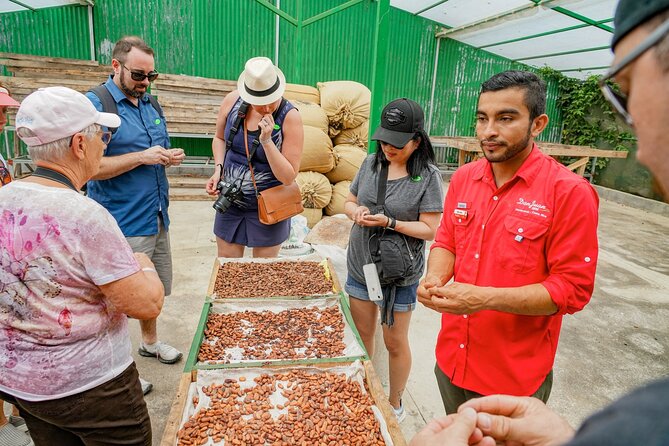 Coffee, Chocolate & Sugar Cane Tour (Regular) - Tasting Experiences