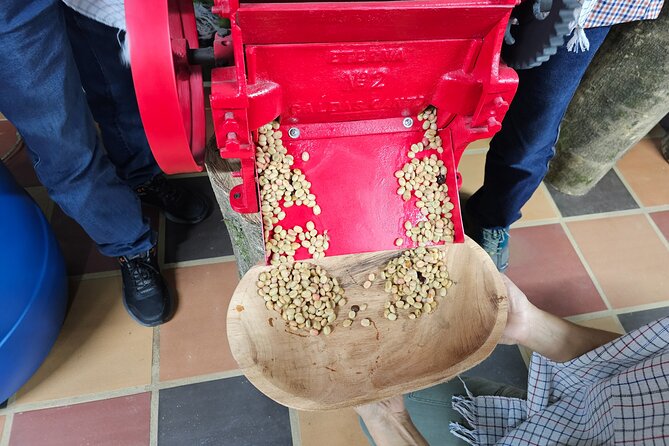 Comuna 13 Interactive Coffee Class - Experiencing the Culture and Traditions