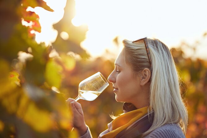 Douro Valley: Historical Sites, Wine Experience, Lunch & Cruise - Customer Ratings and Feedback