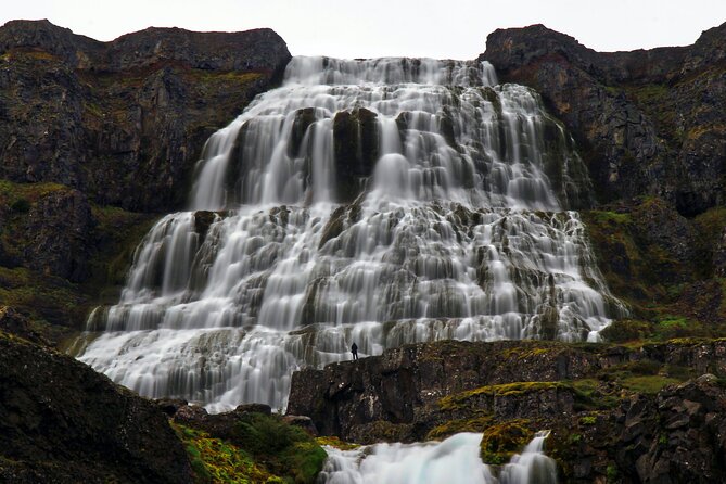 Dynjandi Waterfall & Iceland Farm Visit Tour - Exploring the Icelandic Farm