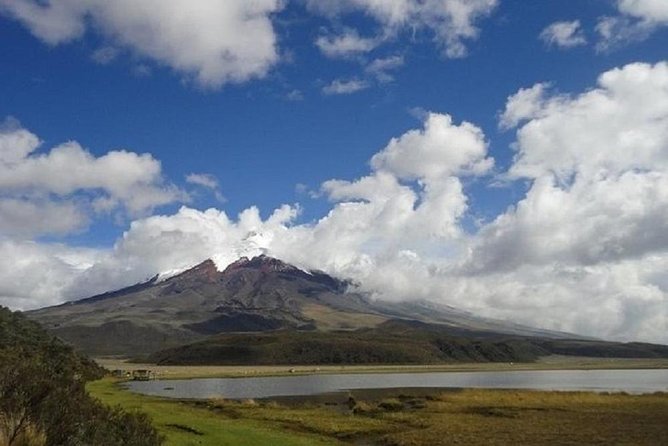 Full-Day Tour Cotopaxi National Park - All Included From Quito - Hike in Limpiopungo Valley