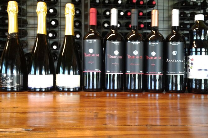Guided Tour With Wine Tasting at Casa Seganfredo - Gramado - Accessibility and Safety Measures