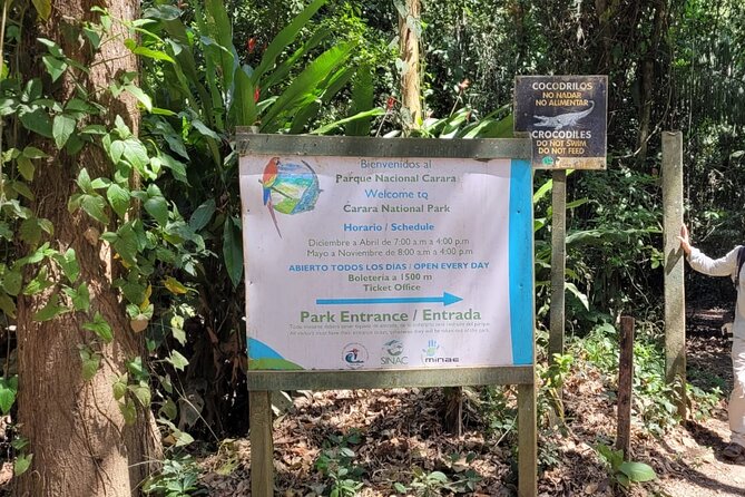 Guided Visit to Carara National Park (Ticket Included) - Carara National Park as an Alternative