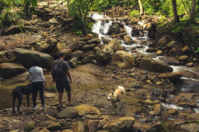 Hiking Medellin and Hidden Waterfalls - Taking in the Enchanting Forest