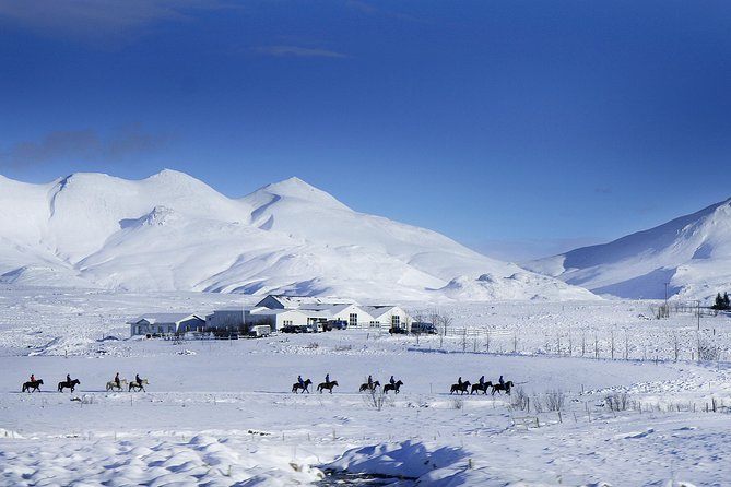 Icelandic Horseback Riding Tour Including Pick up From Reykjavik - Customer Experiences