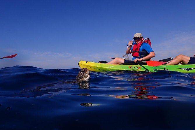 Kayaking With Dolphins and Turtles and Snorkelling in Tenerife - Positive Experiences