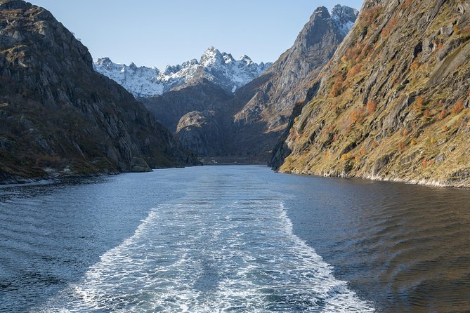 Lofoten Island: Silent Trollfjord Cruise From Svolvær - Panoramic Views and Marine Exploration