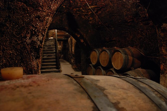 Madrid Countryside Wineries Guided Tour With Wine Tasting - Traveler Feedback and Recommendations