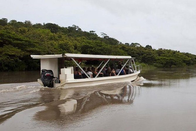 Palo Verde Boat Safari - Accessibility and Group Size