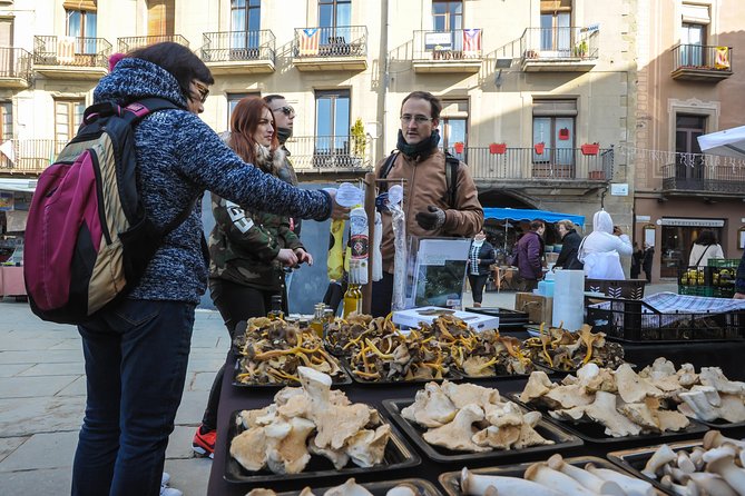 Pyrenees & Medieval Towns Small Group Tour From Barcelona - Traveler Reviews and Feedback