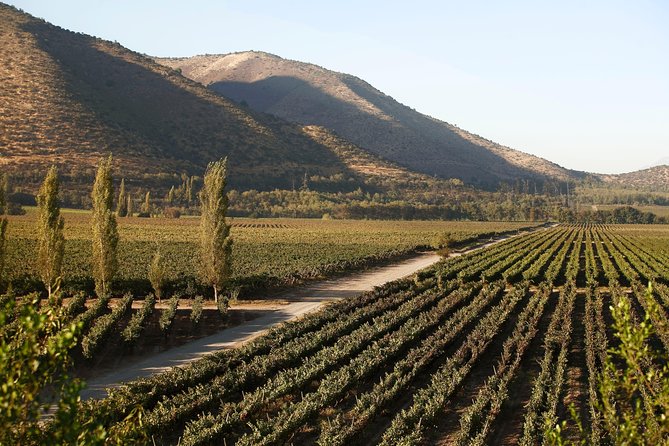 Santa Rita Winery Premium Tour - Cancellation Policy