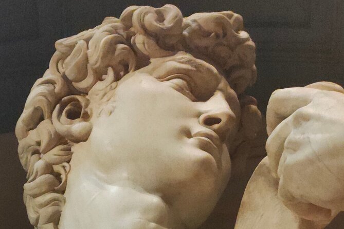 Skip-the-Line Guided Tour of Michelangelo's David - Tour Experience and Guide Feedback