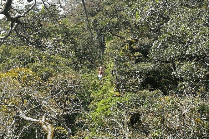 The Original Canopy Tour Monteverde, Zipline - Safety and Accessibility