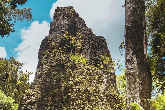 Tikal Small Group All Included From Flores - Experiencing Guatemalan Culture and Cuisine