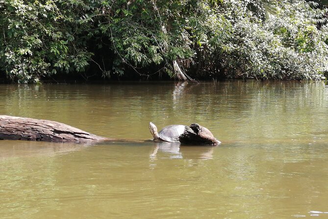 Tortuguero National Park Canal Tour With Canoe - Preparing for the Experience