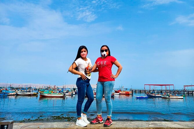Visit to Paracas, Ballestas Islands and Huacachina - Pisco Tasting Experience