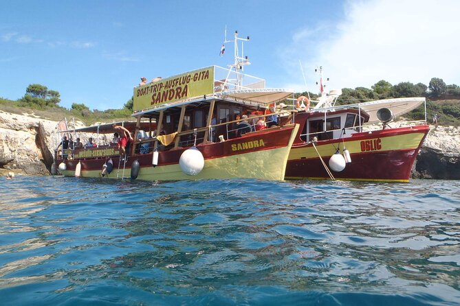 3 Hours Sunset and Dolphin Tour From Medulin With Sandra Boat - Traveler Reviews and Ratings