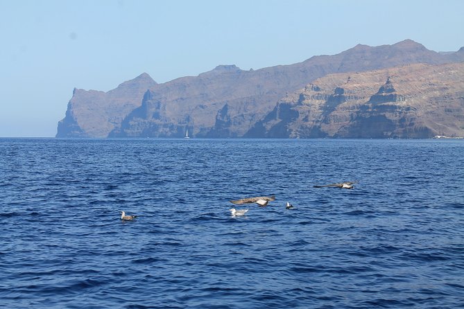 3h Boat Trip + Snorkeling in Puerto De Mogan - Meeting Point and Accessibility