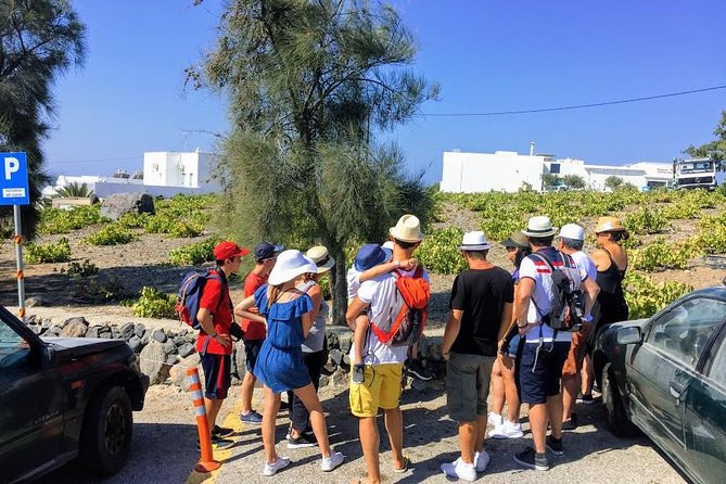 6-Hour Private Best of Santorini Experience - Customer Reviews and Testimonials