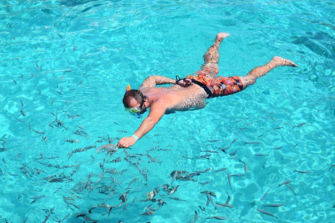 Blue Lagoon, Beaches and Bays Catamaran Sailing Tour - Onboard Amenities