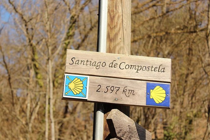 Day Trip From Porto to Santiago De Compostela and Valença - Traveler Feedback and Ratings
