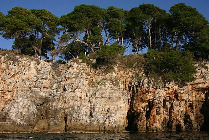 Dubrovnik Elafiti Islands Cruise With Lunch, Drinks and Pickup - Customer Feedback
