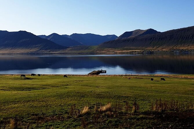 Dynjandi Waterfall & Iceland Farm Visit Tour - Highlights of the Experience