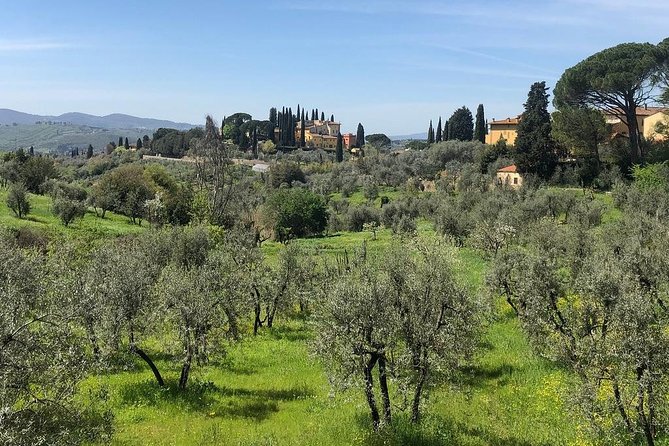 E-Bike Florence Tuscany Self-Guided Ride With Vineyard Visit - Exploring the Chianti Region