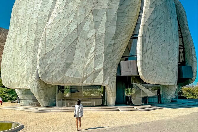 From Santiago: Bahai Temple and Cousiño Macul Vineyard - Tour Details and Logistics