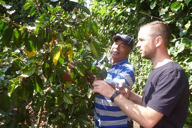 Full Day Ruta De Las Flores Visit Four Colonial Towns and Coffee Farm - Local Markets and Craft Shopping
