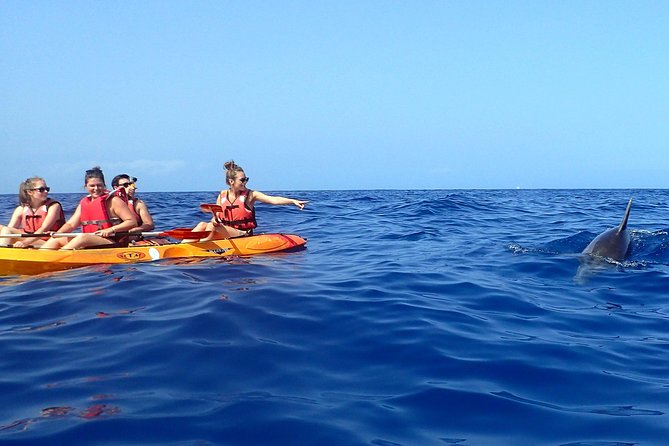 Kayaking With Dolphins and Turtles and Snorkelling in Tenerife - Potential Challenges