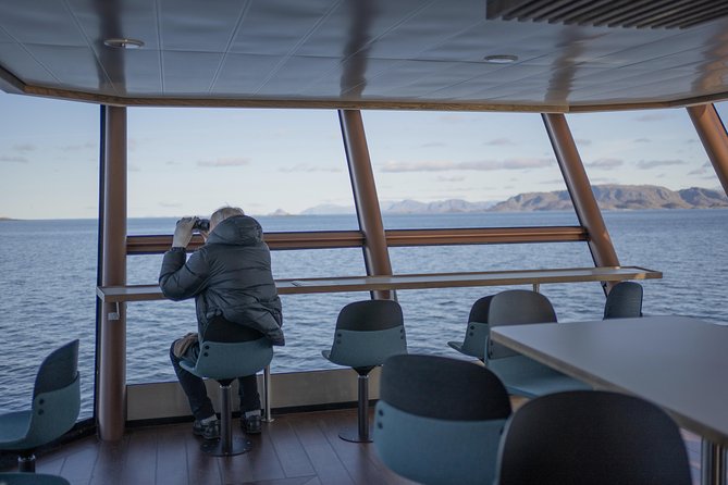 Lofoten Island: Silent Trollfjord Cruise From Svolvær - Knowledgeable Crew and Informative Commentary