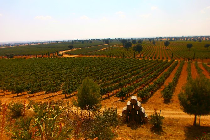 Madrid Countryside Wineries Guided Tour With Wine Tasting - Discovering the Vinos De Madrid Region