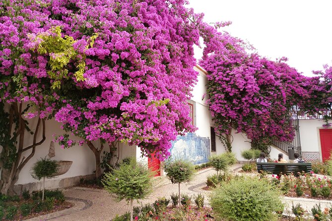 Private Tour: Highlights of Historical Lisbon in 4H With Transfer - Exploring Historic Neighborhoods