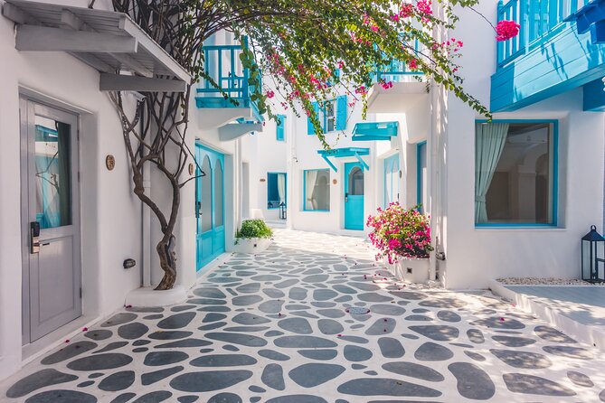 Santorini: The Best Small-Group Shore Excursion for Cruise Ships - Customer Testimonials
