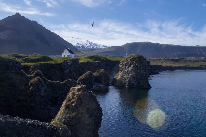 Snaefellsnes Small Group Tour With Homemade Meal From Reykjavik - Traditional Icelandic Lunch