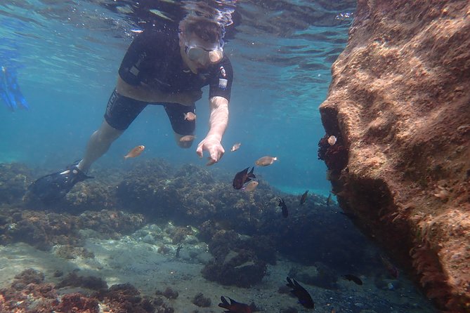 Snorkeling Tour - Customer Reviews and Feedback
