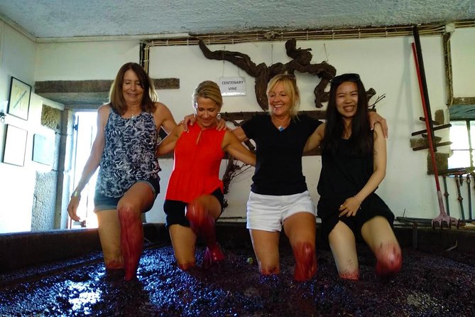 Wine Venture and Boat Trip in Douro Valley From Porto - Meeting Point and Transportation