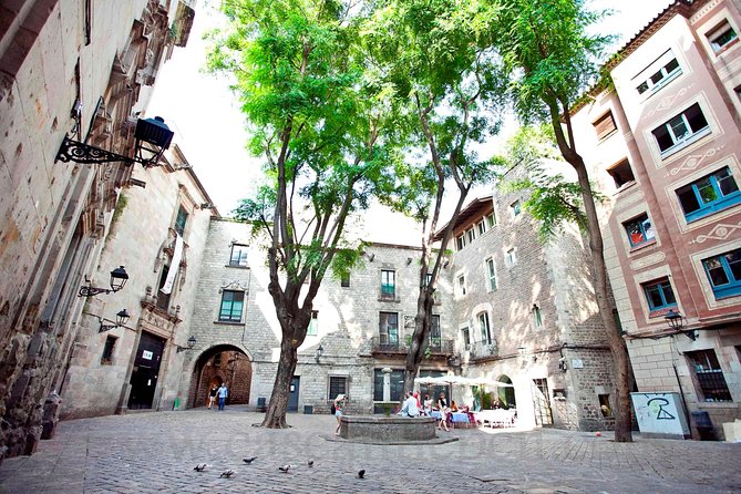 Barcelona Old Town and Gothic Quarter Walking Tour - Tour Options and Inclusions